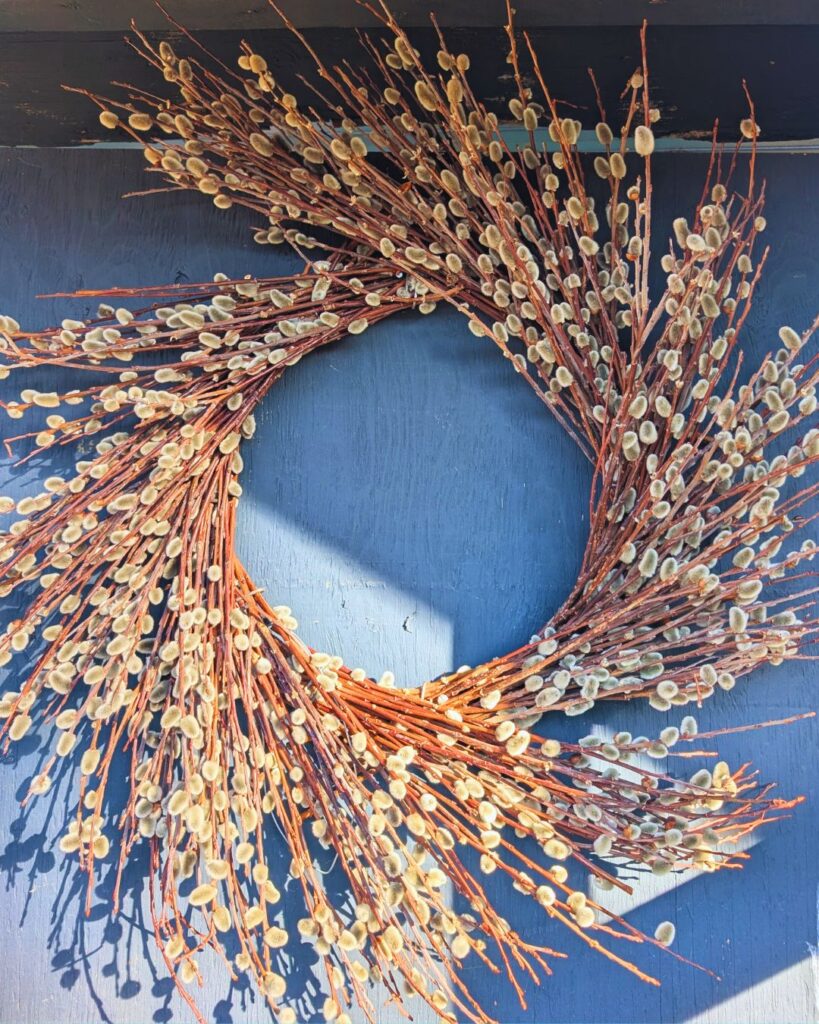Waldorf wreath made with pussy willows